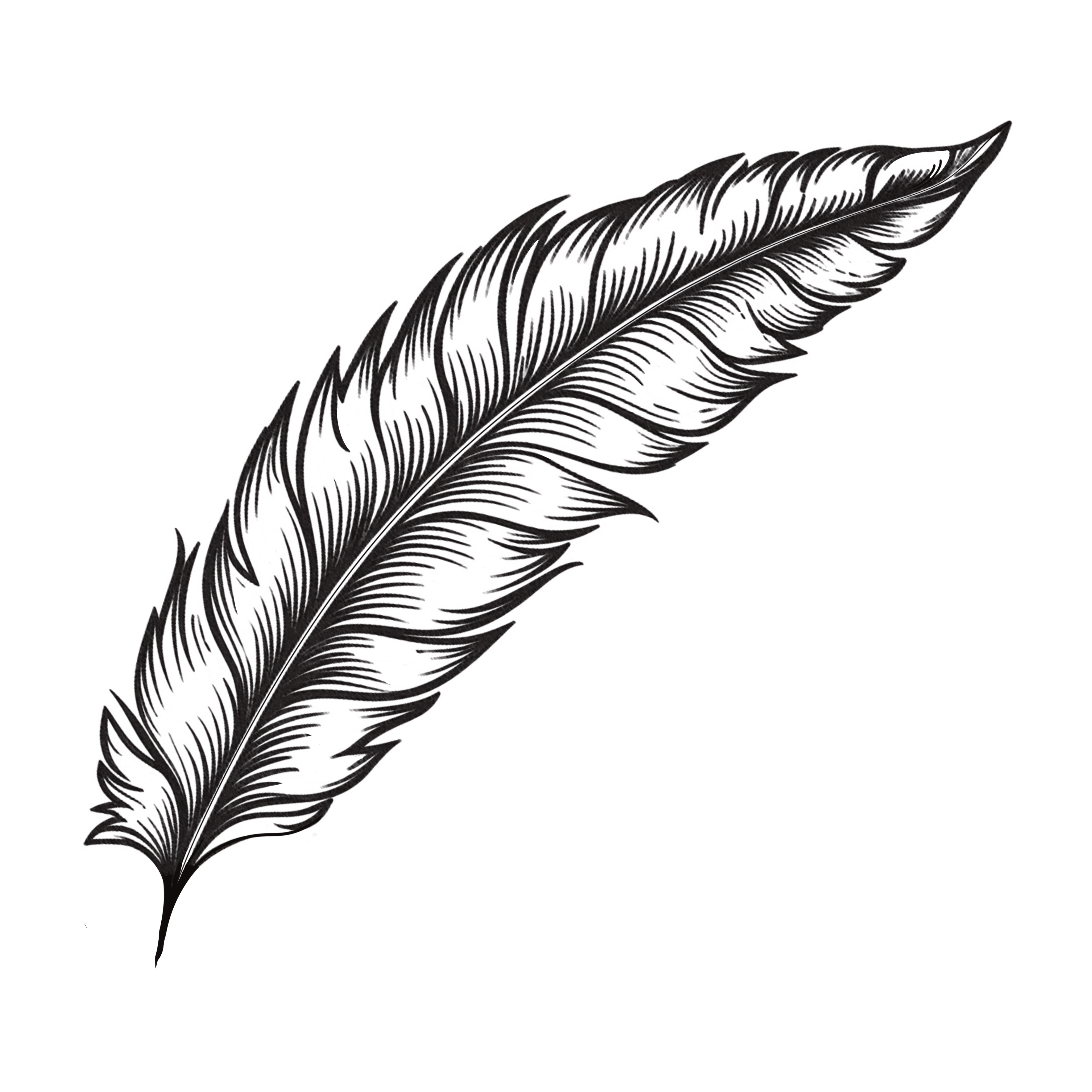 Josephine: Back from the Ashes (Introduction)